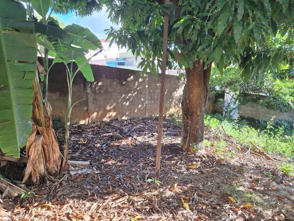 Terreno, 250 m² - Foto 4