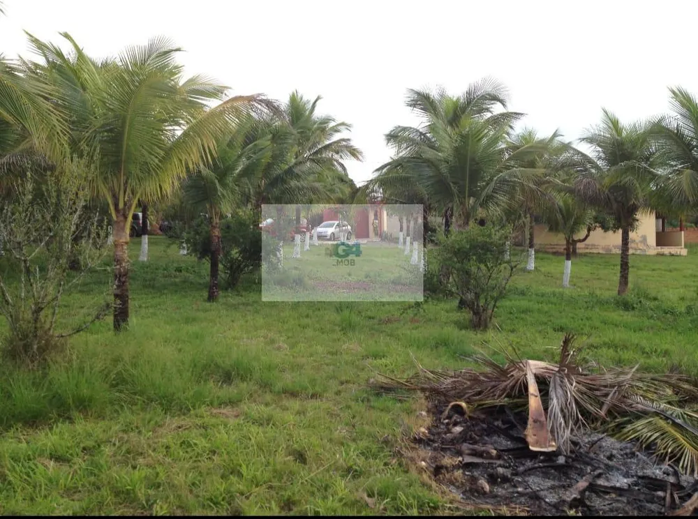 Terreno, 10000 m² - Foto 8