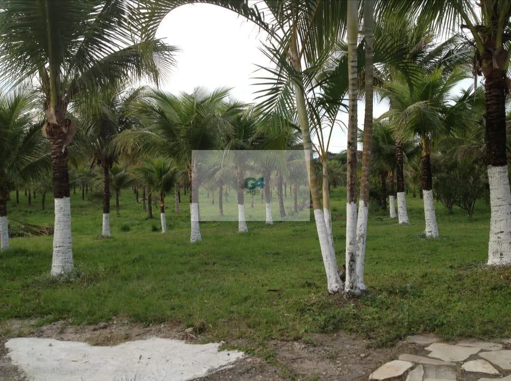 Terreno, 10000 m² - Foto 9