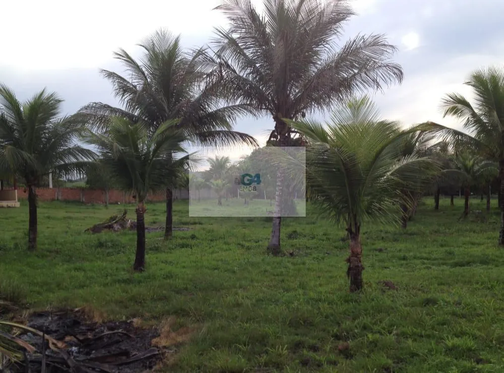 Terreno, 10000 m² - Foto 7