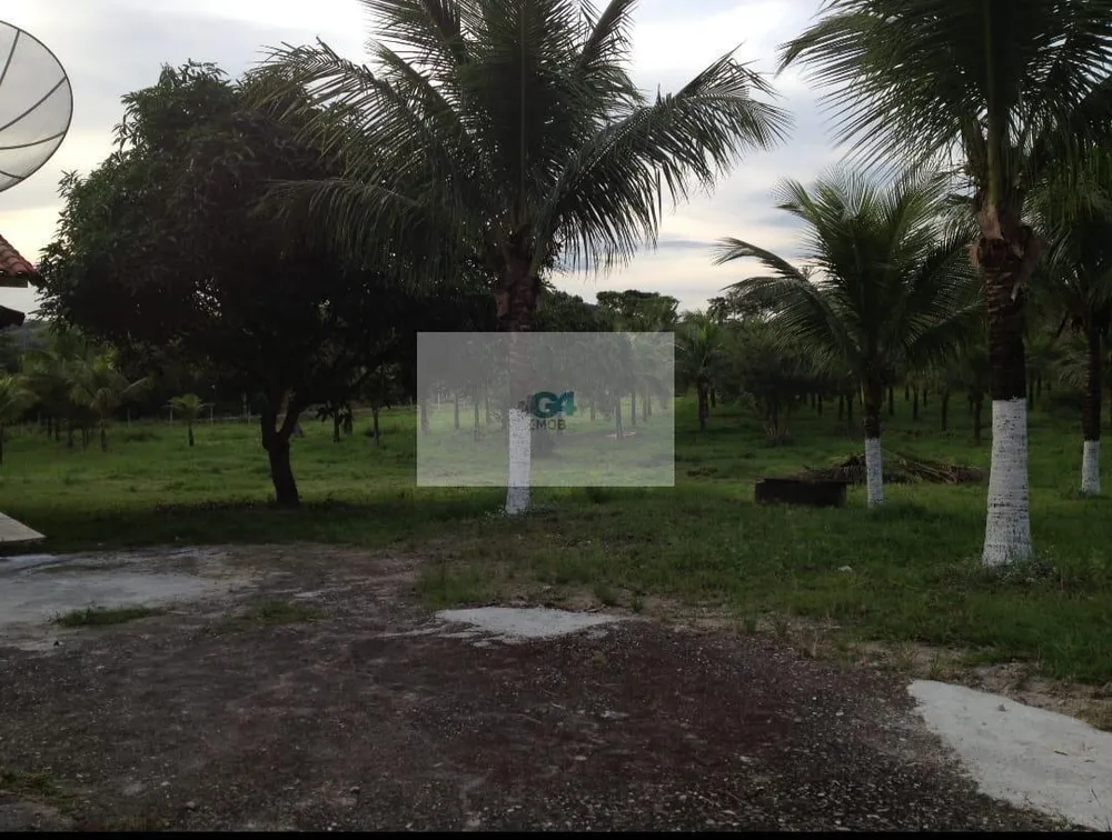 Terreno, 10000 m² - Foto 10