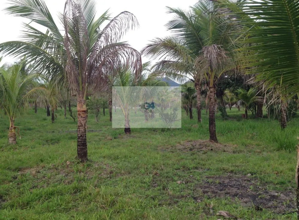 Terreno, 10000 m² - Foto 6