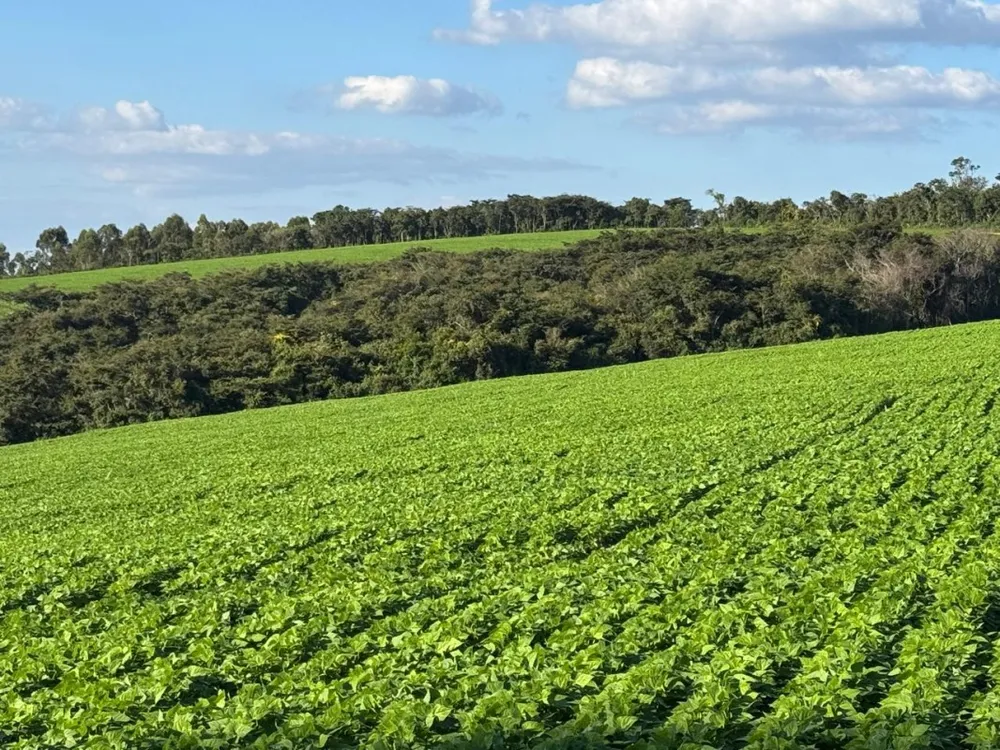 Fazenda, 1 quarto - Foto 2