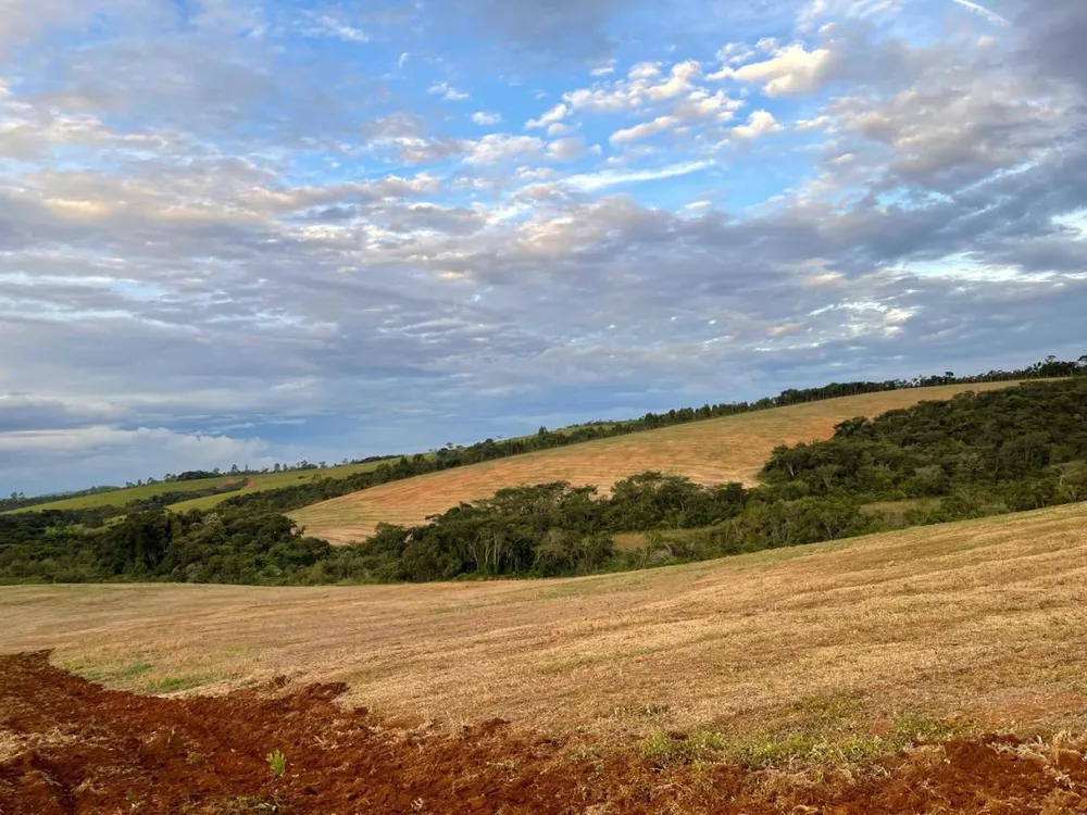 Fazenda, 1 quarto - Foto 4