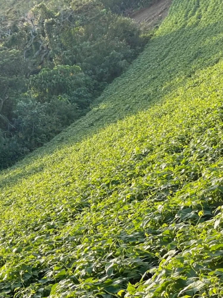 Fazenda, 1 quarto - Foto 3
