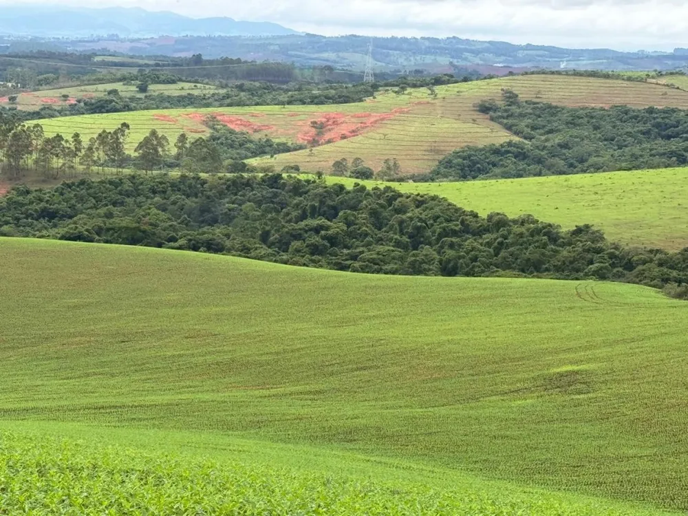 Fazenda, 1 quarto - Foto 10