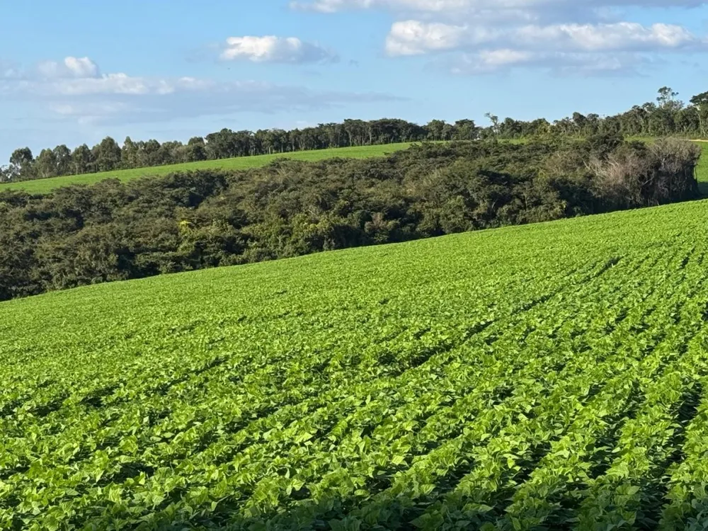 Fazenda, 1 quarto - Foto 16