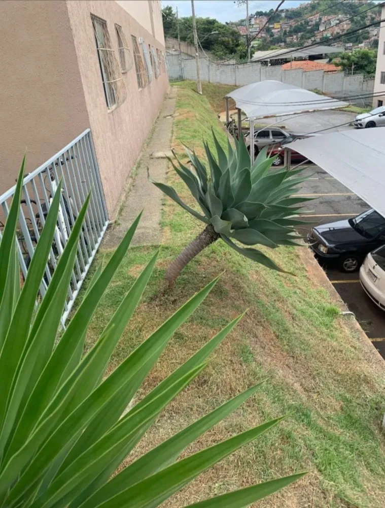 Apartamento, 2 quartos, 45 m² - Foto 7