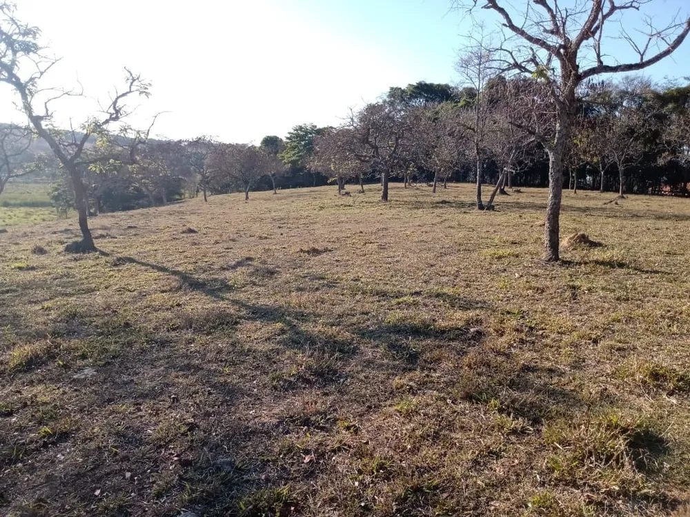 Chácara, 3 quartos - Foto 14
