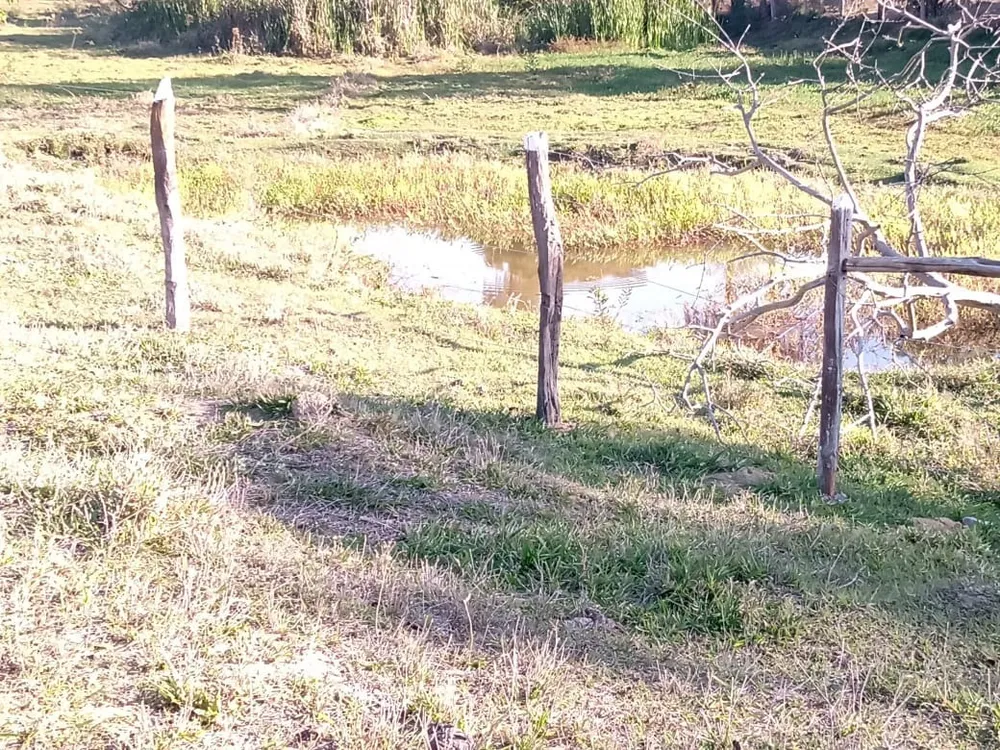 Chácara, 3 quartos - Foto 12