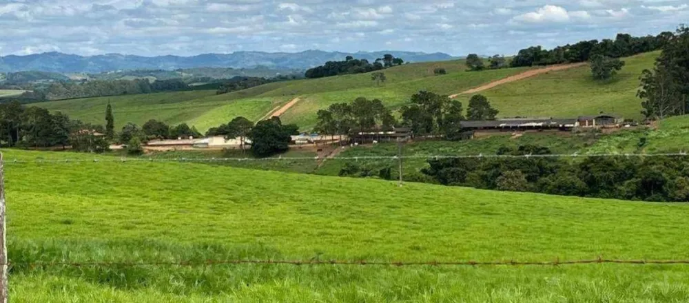 Fazenda, 659 hectares - Foto 12