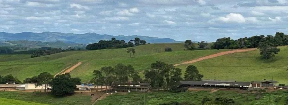 Fazenda, 659 hectares - Foto 3