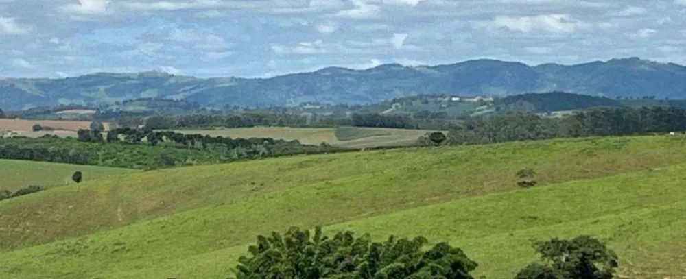 Fazenda, 659 hectares - Foto 1