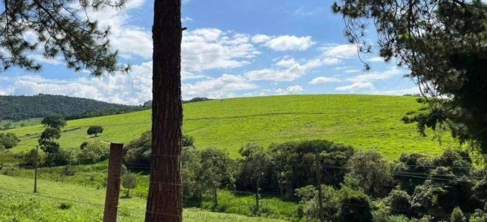 Fazenda, 659 hectares - Foto 6