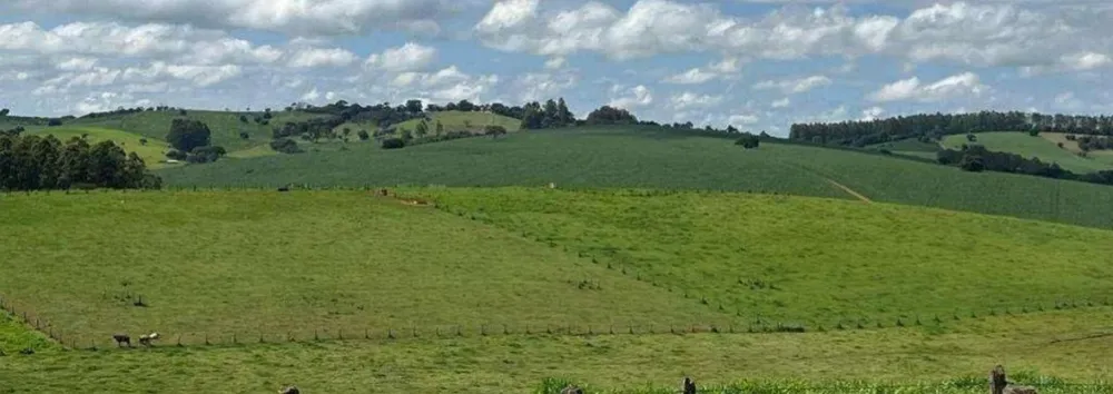Fazenda, 659 hectares - Foto 10
