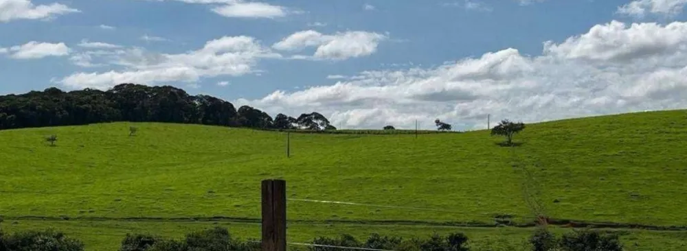 Fazenda, 659 hectares - Foto 7