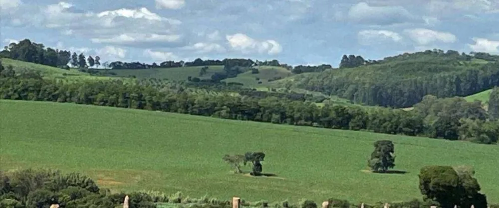 Fazenda, 659 hectares - Foto 2