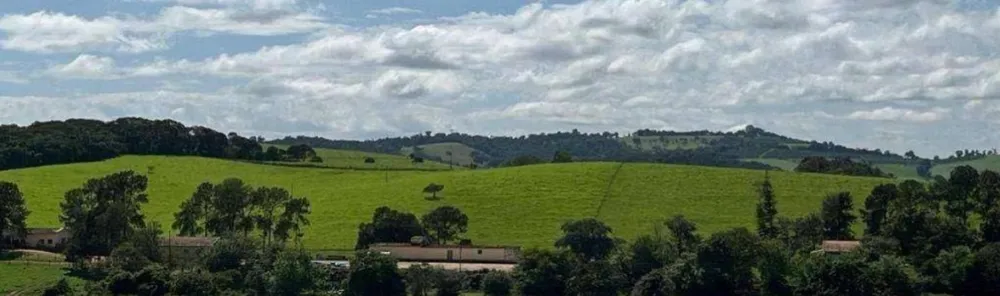 Fazenda, 659 hectares - Foto 3