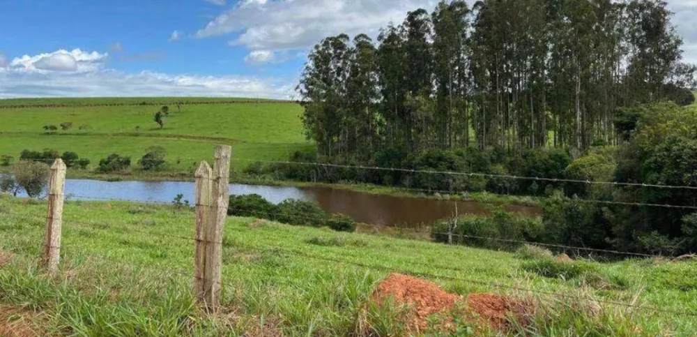 Fazenda, 659 hectares - Foto 4