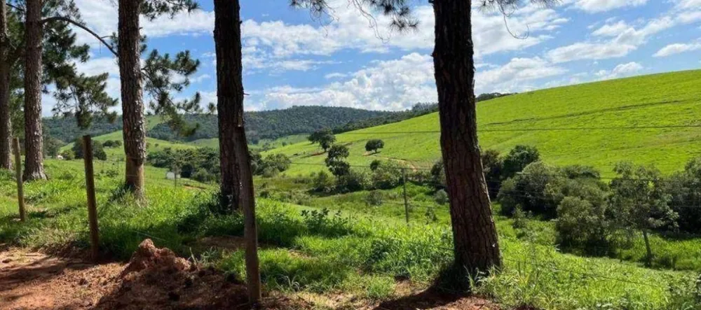 Fazenda, 659 hectares - Foto 8