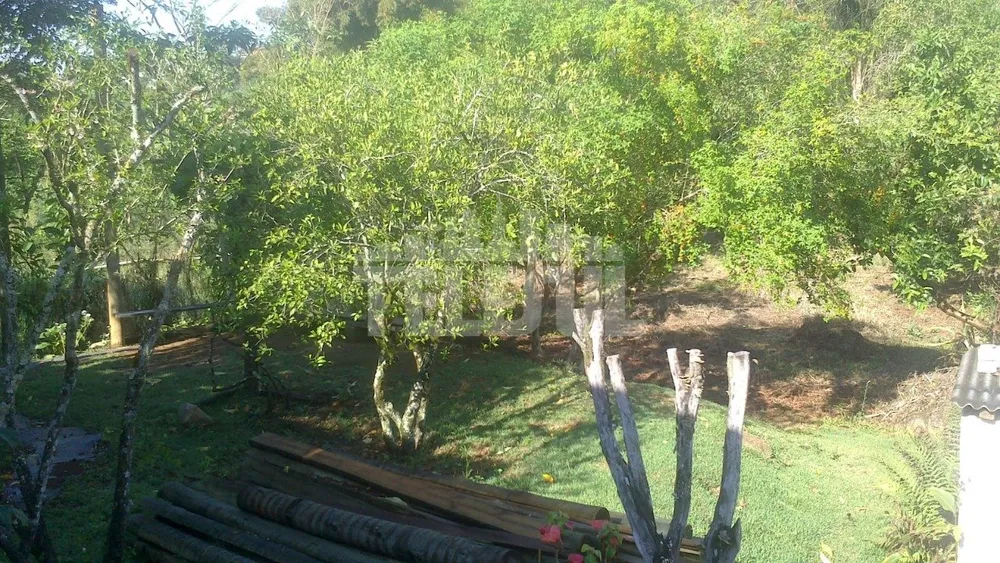 Casa, 2 quartos, 740 m² - Foto 4