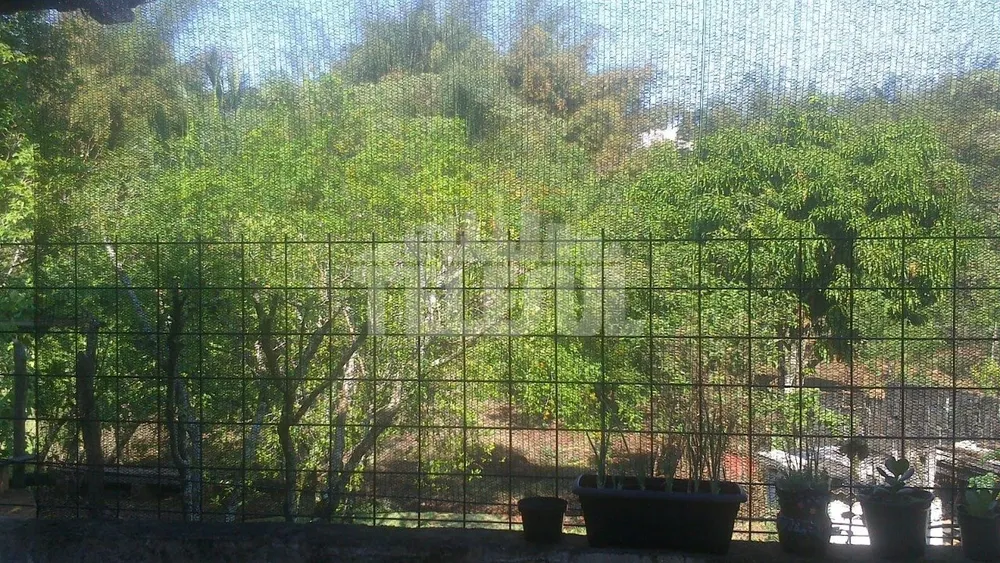 Casa, 2 quartos, 740 m² - Foto 3
