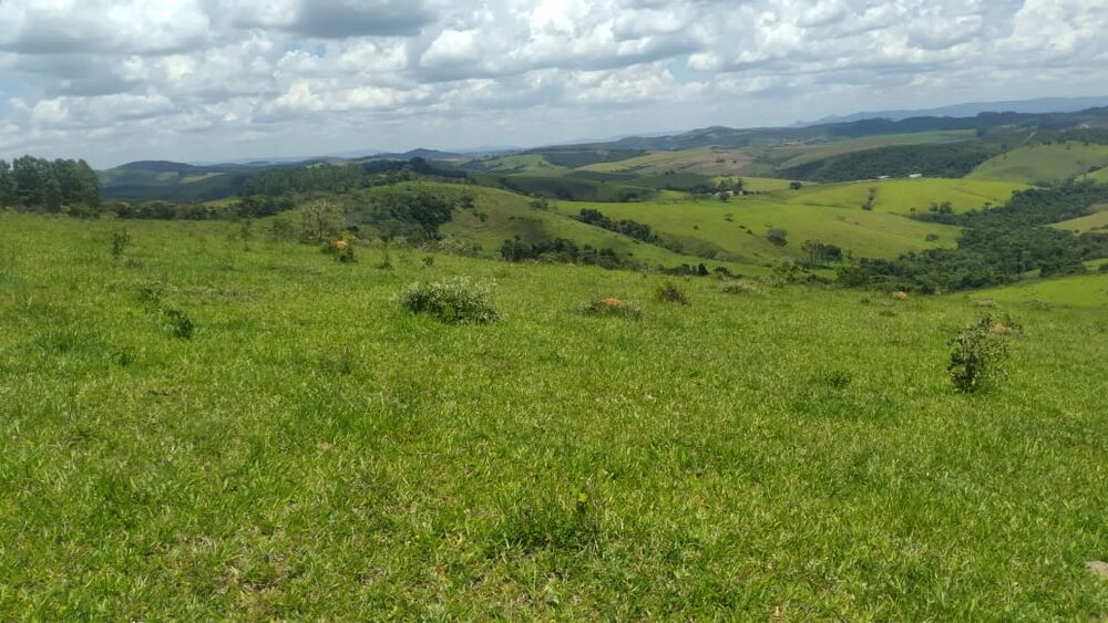 Fazenda à venda com 4 quartos, 530000m² - Foto 3