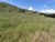 Fazenda, 102 hectares - Foto 1