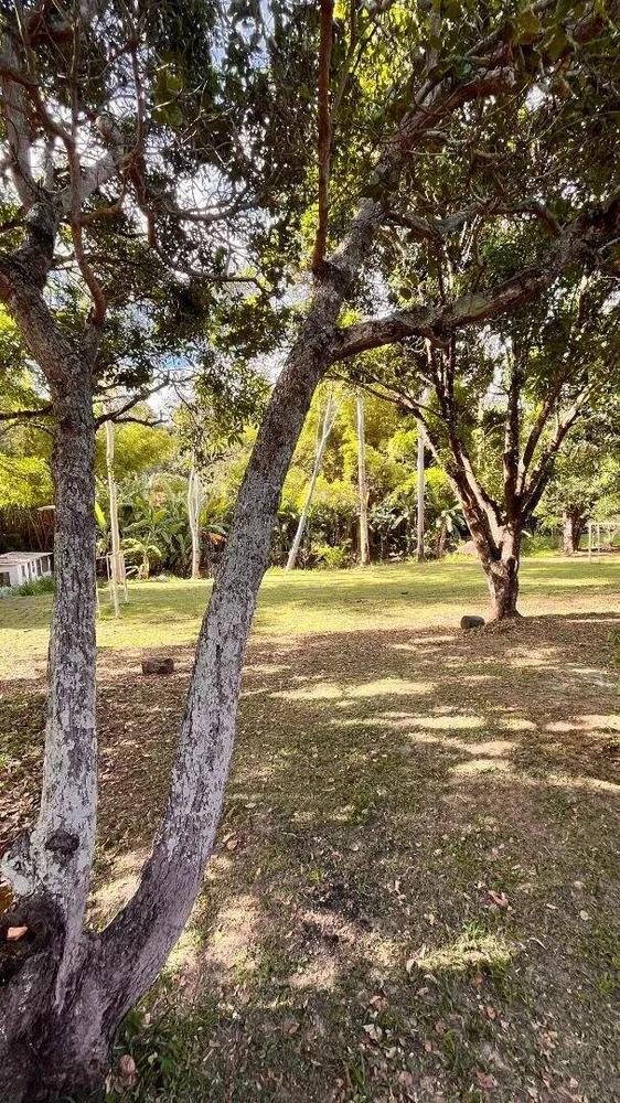 Chácara, 4 quartos, 6000 m² - Foto 8