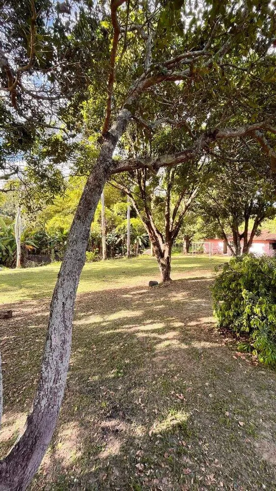 Sítio, 4 quartos, 6000 m² - Foto 13