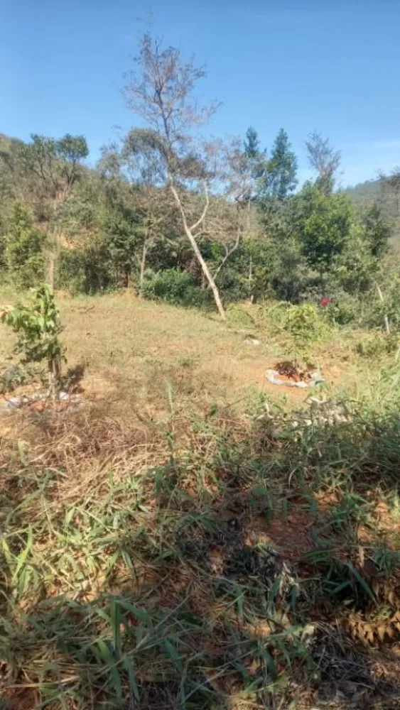 Terreno, 1000 m² - Foto 3