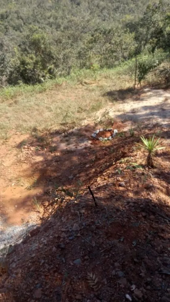 Terreno, 1000 m² - Foto 1