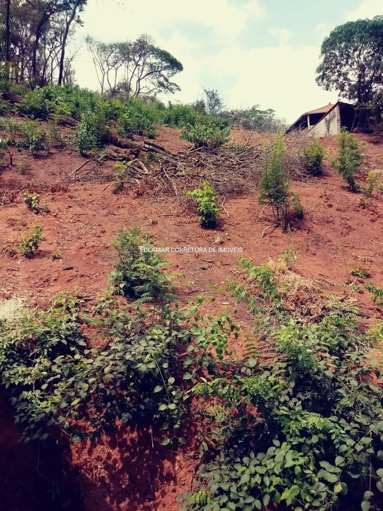Terreno, 1957 m² - Foto 3