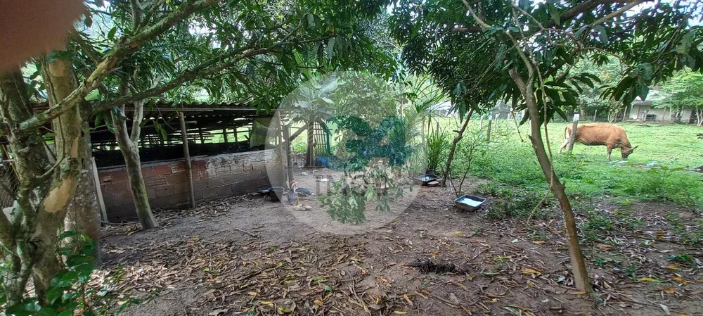 Chácara, 2 quartos - Foto 6