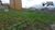 Terreno, 250 m² - Foto 6