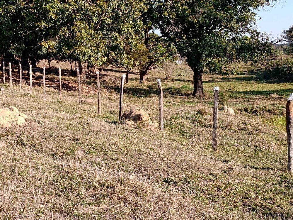 Sítio à venda com 3 quartos - Foto 4