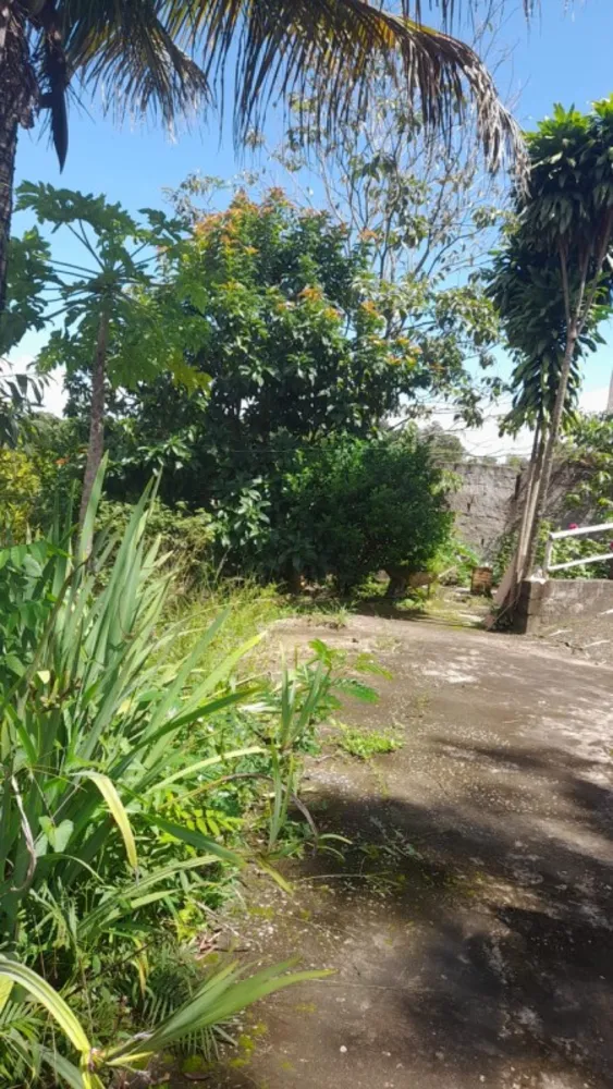 Chácara, 3 quartos - Foto 6