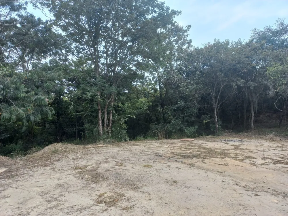 Chácara, 2 quartos, 2900 m² - Foto 4