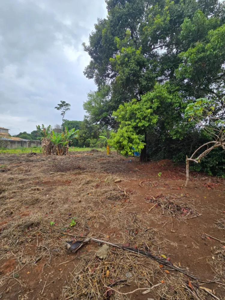 Casa, 2 quartos, 2400 m² - Foto 20