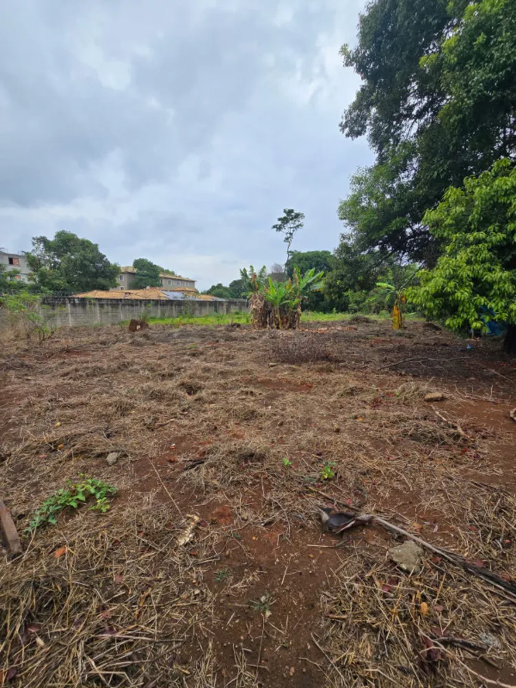 Casa, 2 quartos, 2400 m² - Foto 4