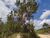 Terreno, 4000 m² - Foto 1