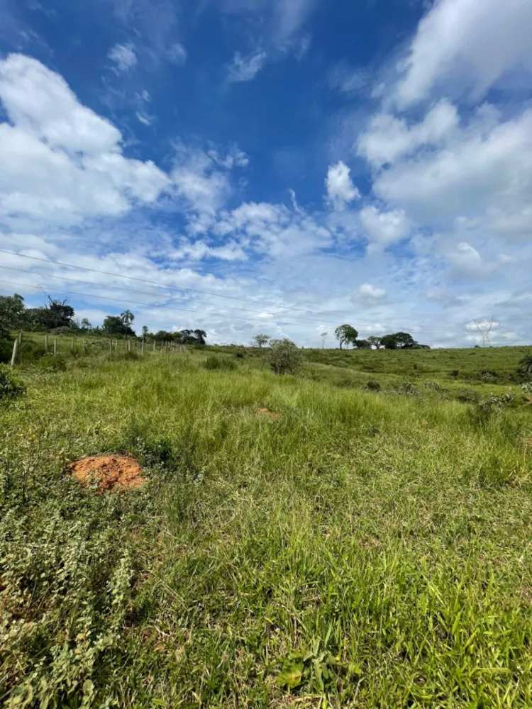 Fazenda, 8 quartos - Foto 4