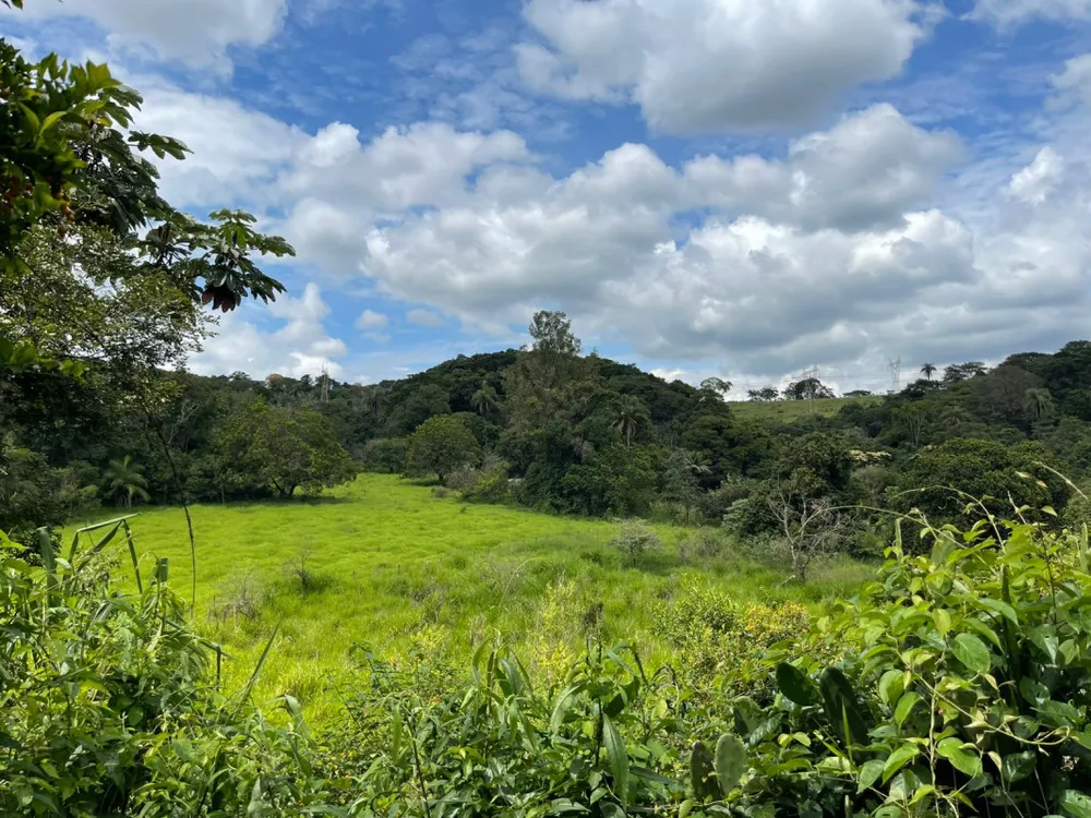 Fazenda, 8 quartos - Foto 7