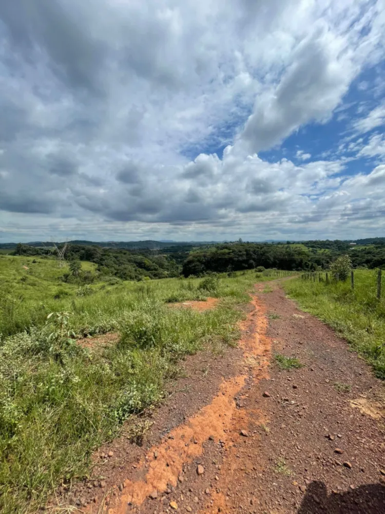 Fazenda, 8 quartos - Foto 2