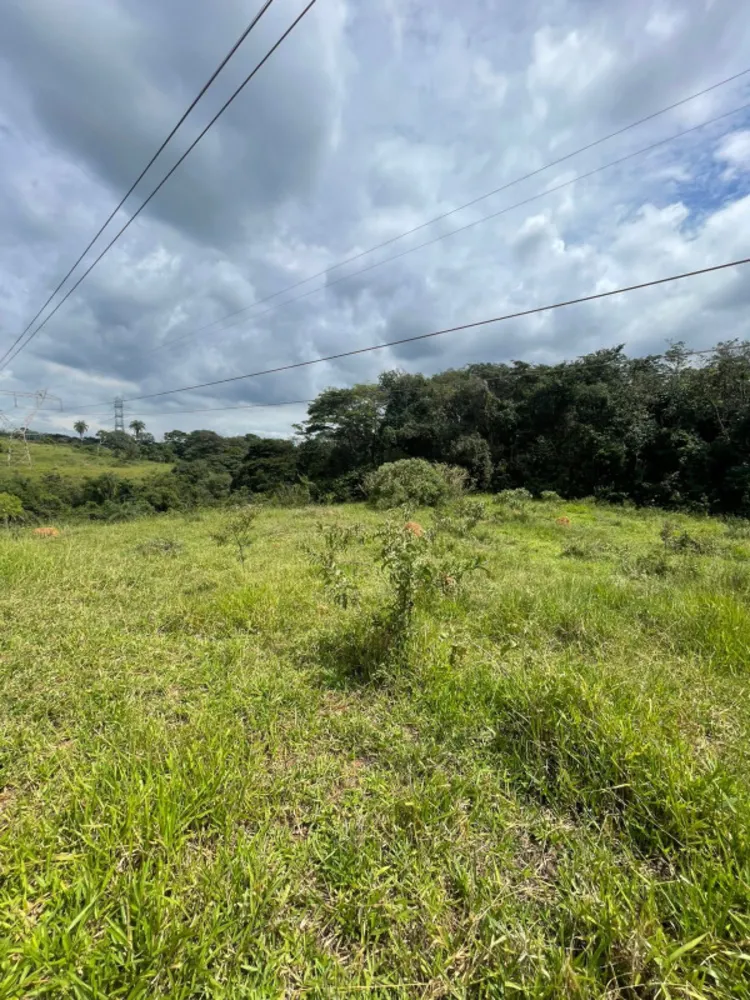 Fazenda, 8 quartos - Foto 5