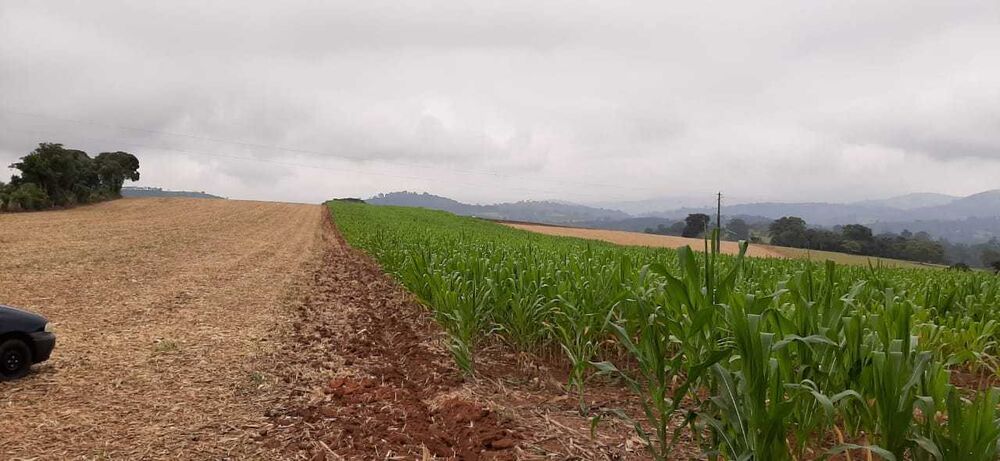 Fazenda à venda com 3 quartos, 1120000m² - Foto 2