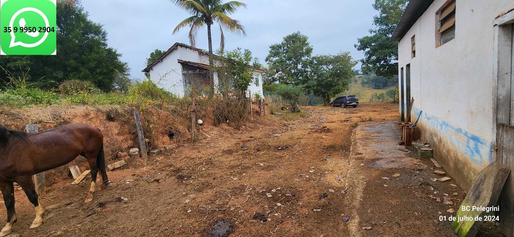 Fazenda à venda com 3 quartos, 1120000m² - Foto 4