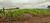 Fazenda, 112 hectares - Foto 1
