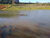 Fazenda, 64 hectares - Foto 3