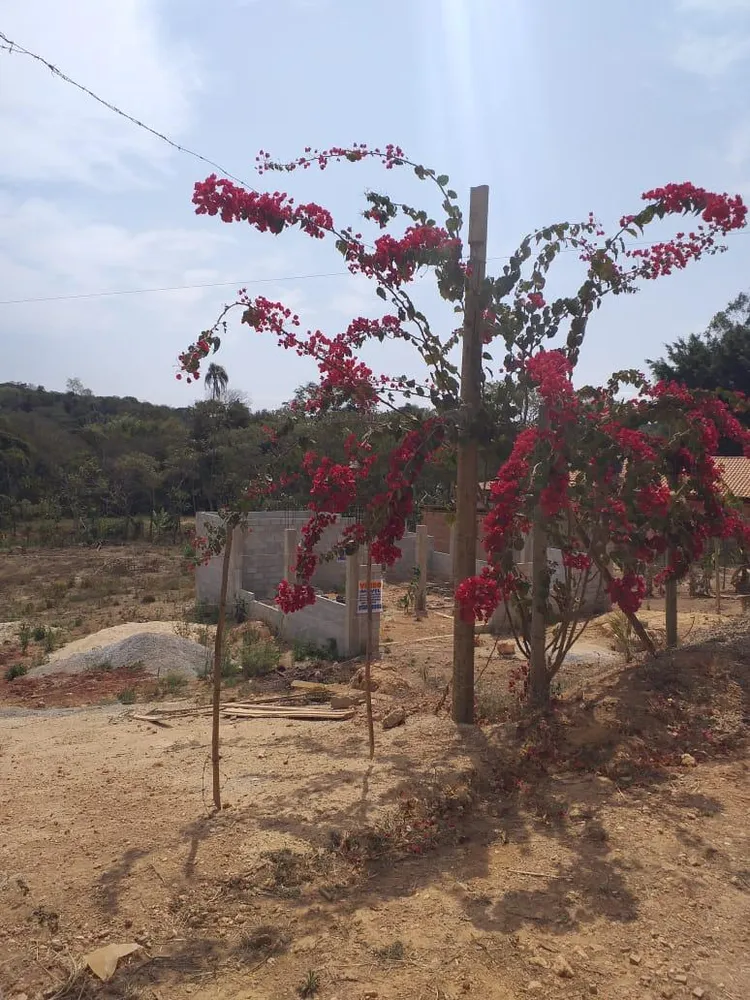 Terreno - Foto 4